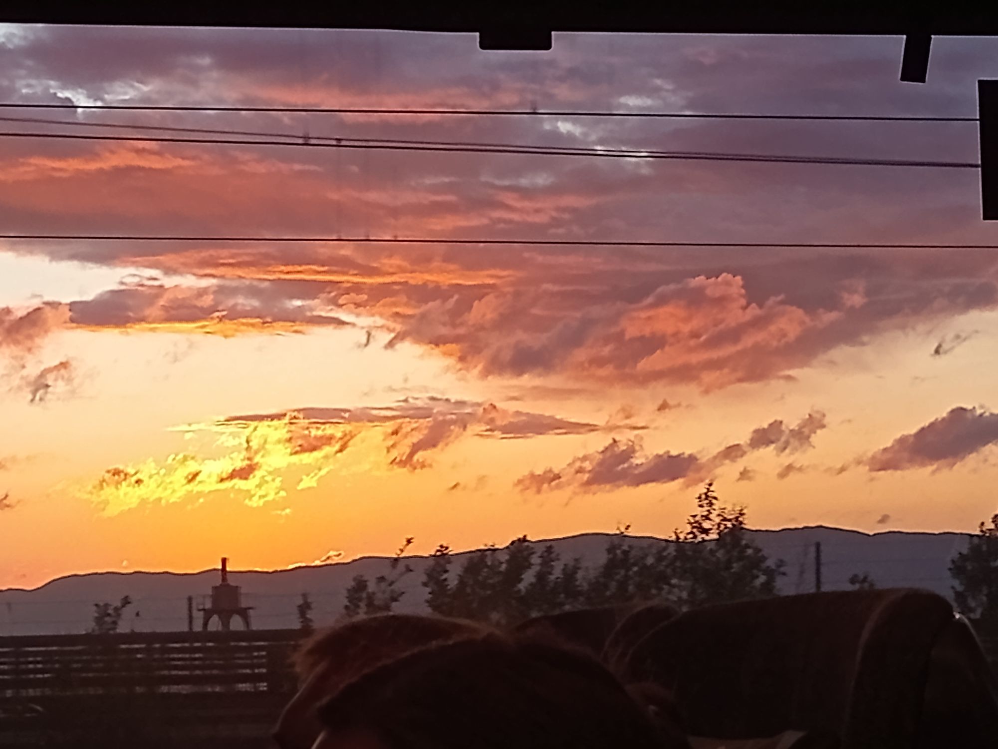 Summer Social Media Detox - by Camille Saunders