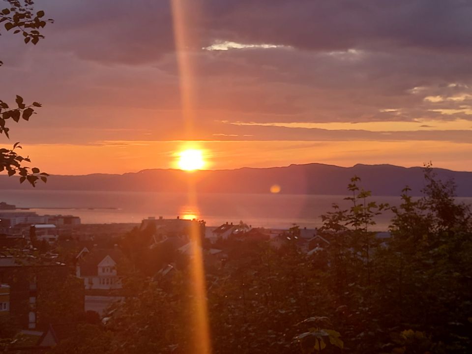 What Norway Taught Me About Women - by Camille Saunders