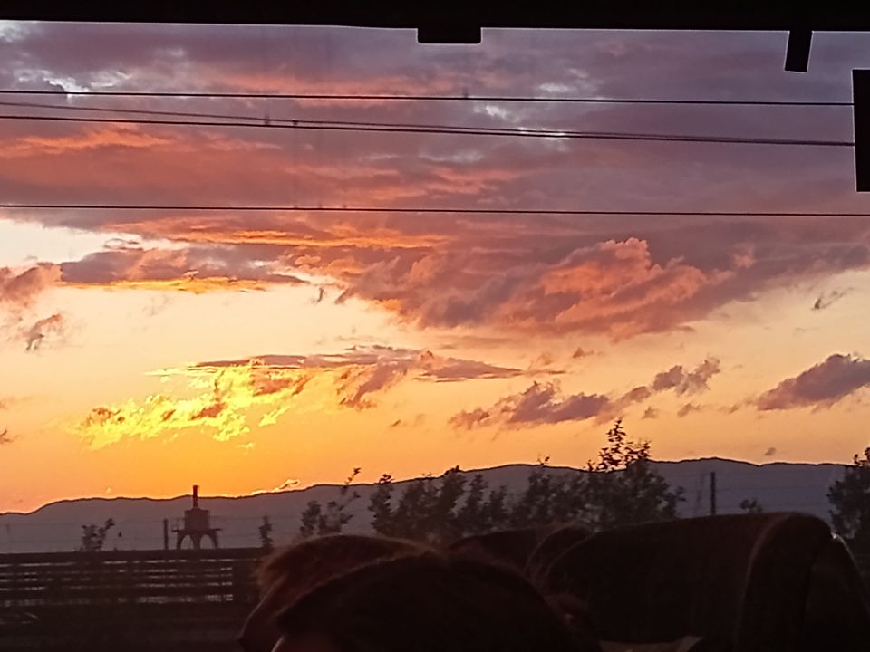 Summer Social Media Detox - by Camille Saunders